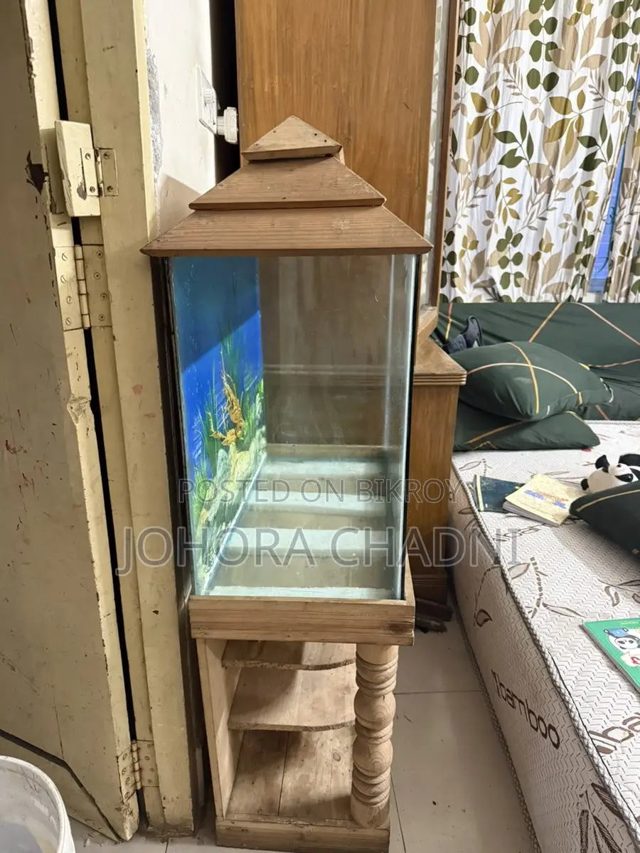 অ্যাকুরিয়াম