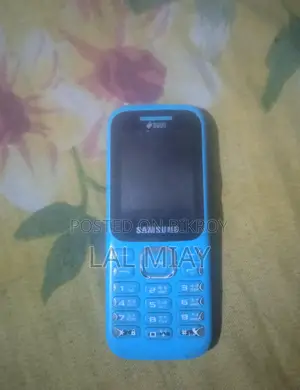 Samsung B313E (ব্যবহৃত)