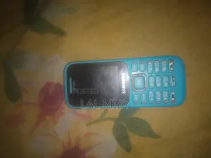 Samsung B313E (ব্যবহৃত)