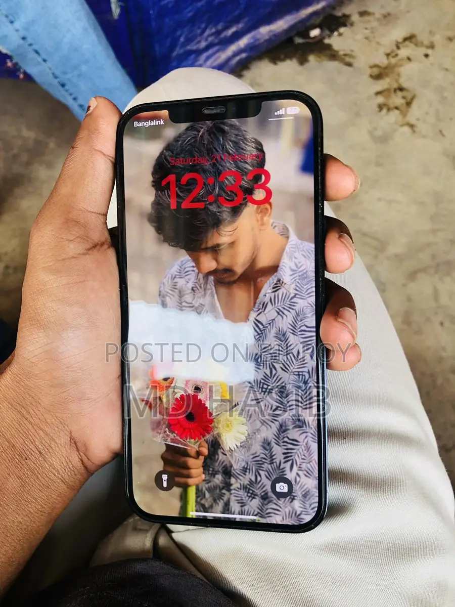 Apple iPhone 12 Pro Max ফুল ফ্রেশ (ব্যবহৃত)