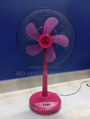 Fan for sale.