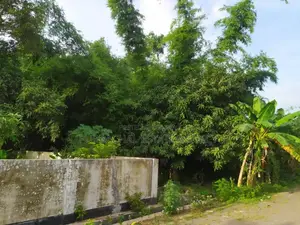 30ft/75ft Corner, 3 Katha Plot In Sec#13