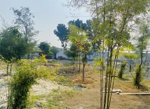 আগামীদিনের স্মার্ট সিটি, পূর্বাচল পাইন সিটি Plot sale