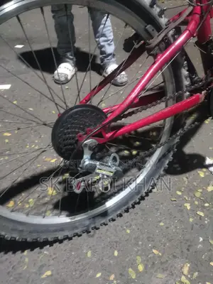 Bicycle For Sale