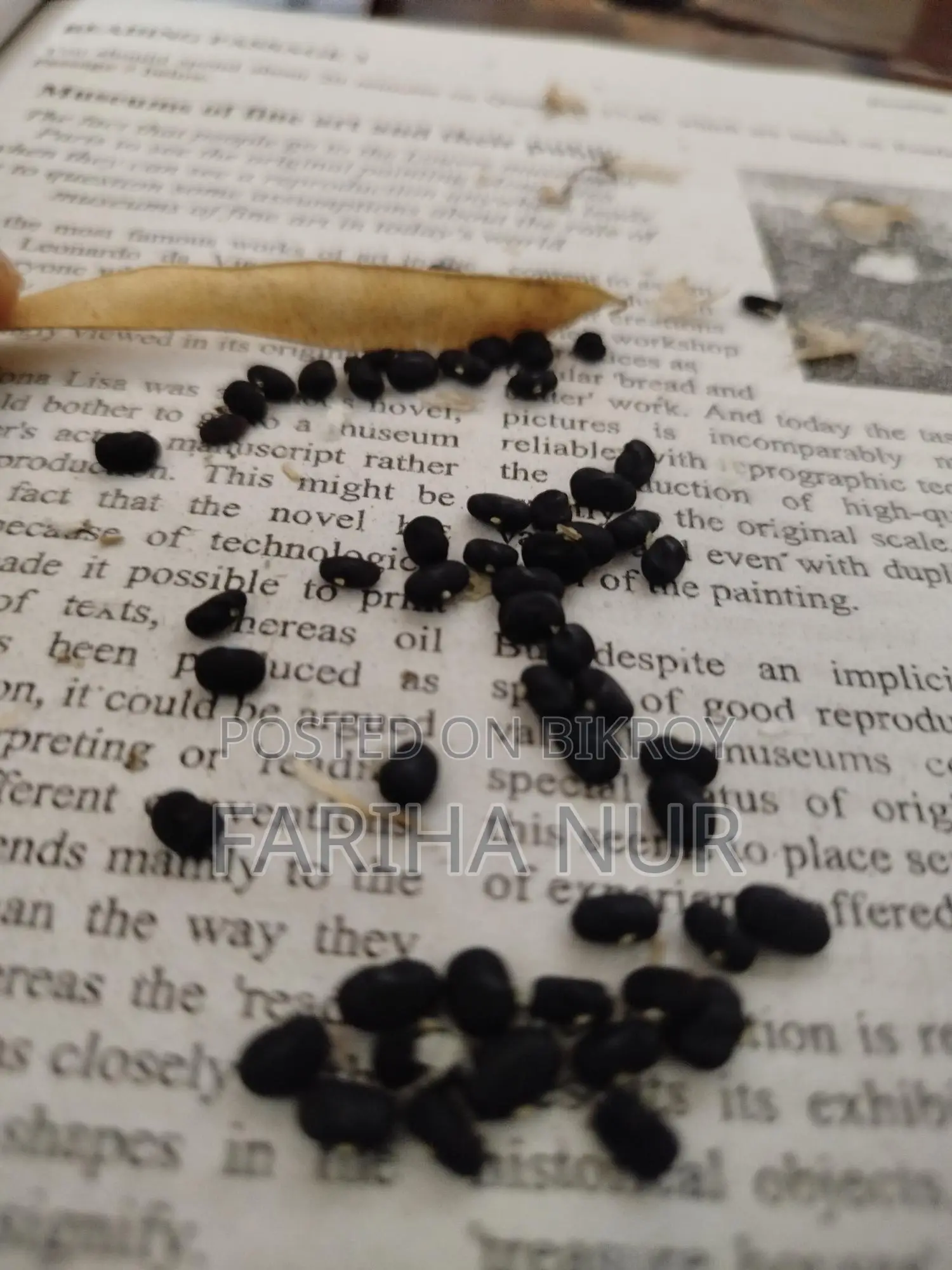 Aparajita Flower Seeds