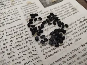 Aparajita Flower Seeds