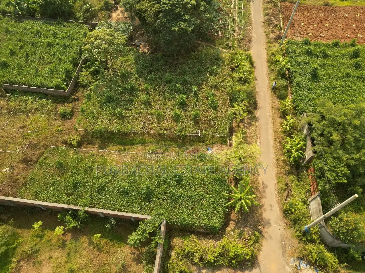 Front 44ft, East Facing, 5 Katha Plot In Sec#15