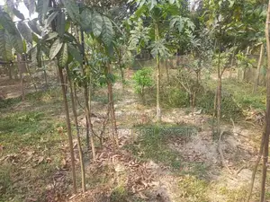 ৩.২৫ শতাংশ জমি বিক্রি করা হবে।