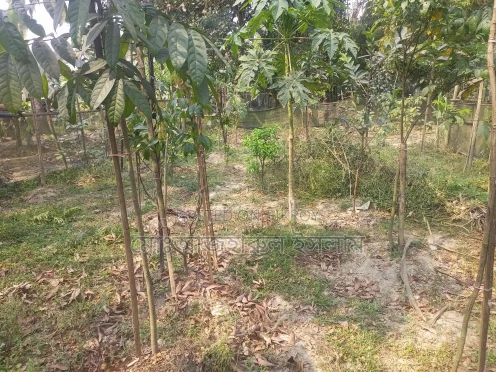 ৩.২৫ শতাংশ জমি বিক্রি করা হবে।