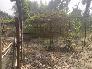 ৩.২৫ শতাংশ জমি বিক্রি করা হবে।