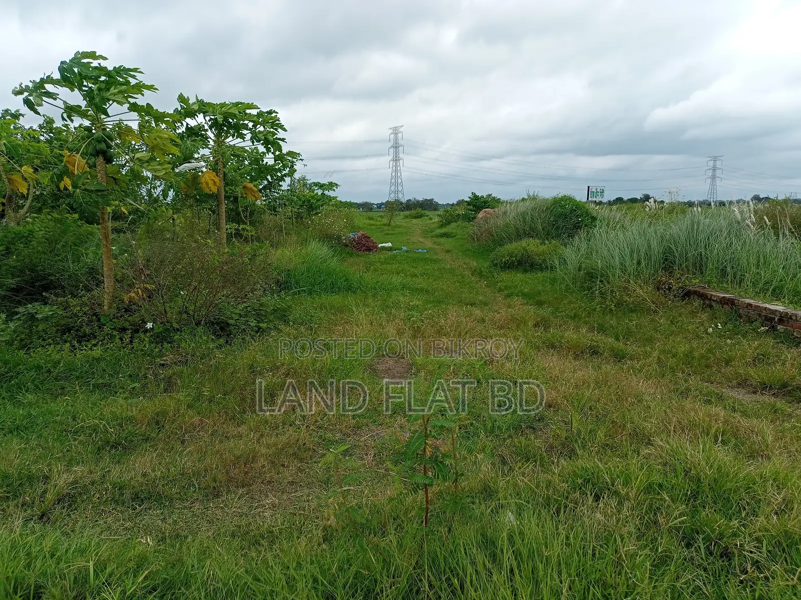 Enjoy a Natural Environment @ 12 Katha Land for Sale