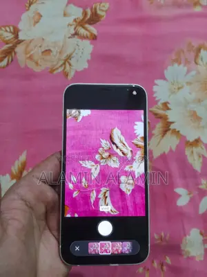 Apple iPhone 12 (Used)