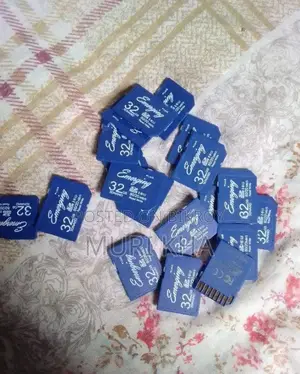 এনার্জাইজার ৩২ জিবি মেমোরি (ব্যবহৃত)