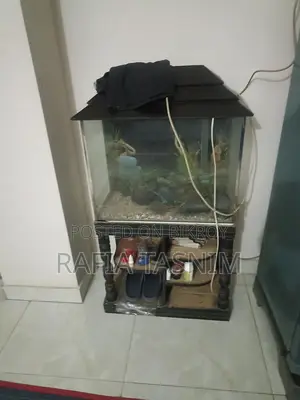 Aquarium for Sale