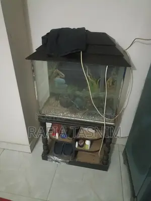 Aquarium for Sale
