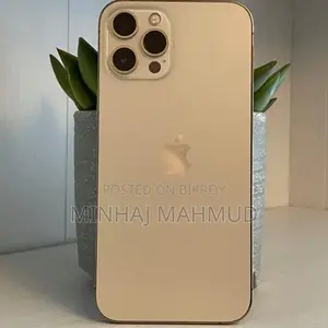 Apple iPhone 12 Pro Max (Used)