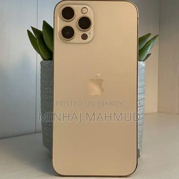 Apple iPhone 12 Pro Max (Used)