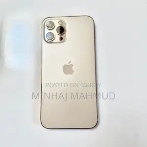 Apple iPhone 12 Pro Max (Used)