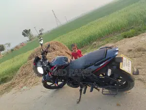 Bajaj Pulsar 150 2022