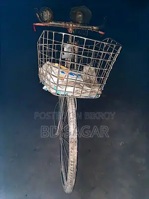 Phoenix Bicycle for Sale