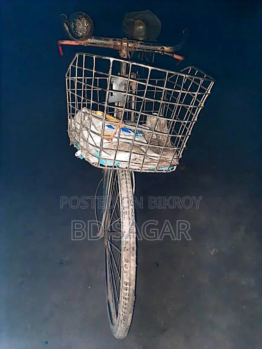 Phoenix Bicycle for Sale