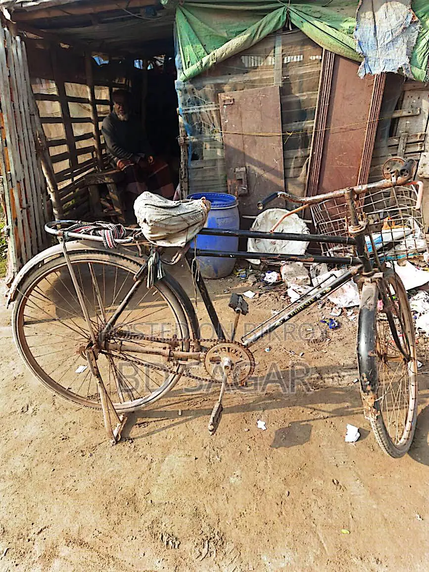 Phoenix Bicycle for Sale