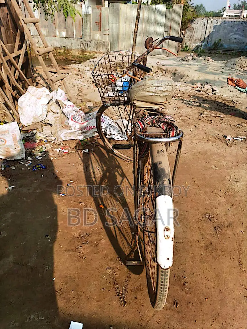 Phoenix Bicycle for Sale