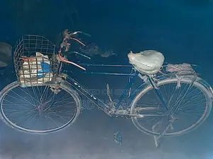 Phoenix Bicycle for Sale
