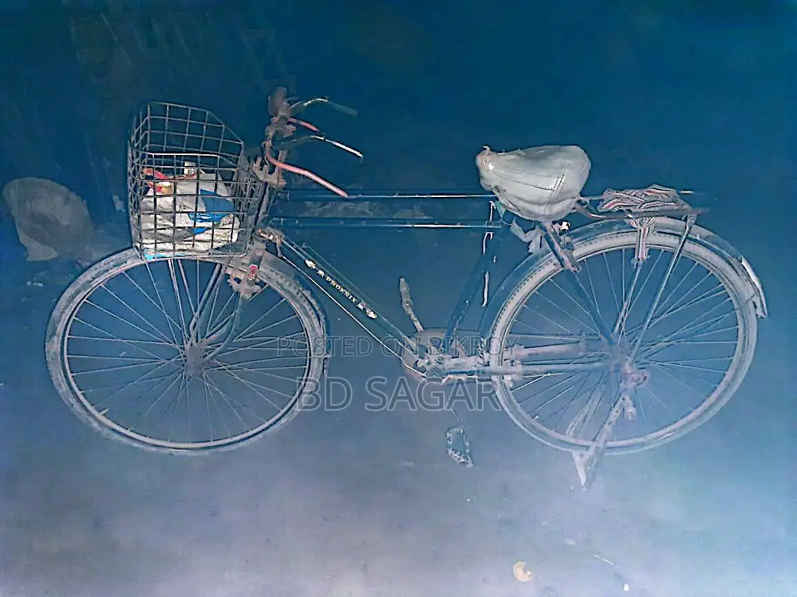 Phoenix Bicycle for Sale