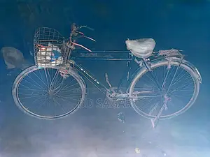 Phoenix Bicycle for Sale
