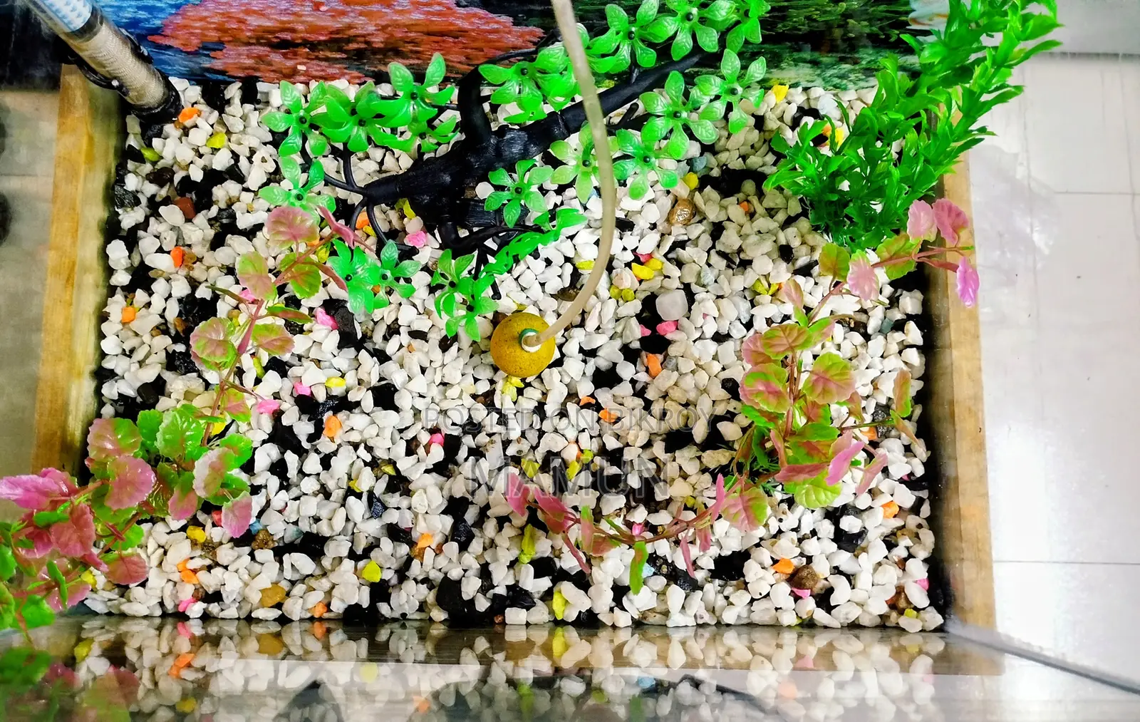 Aquarium (with wooden stand)