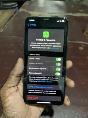 Apple iPhone XS Max (Used)