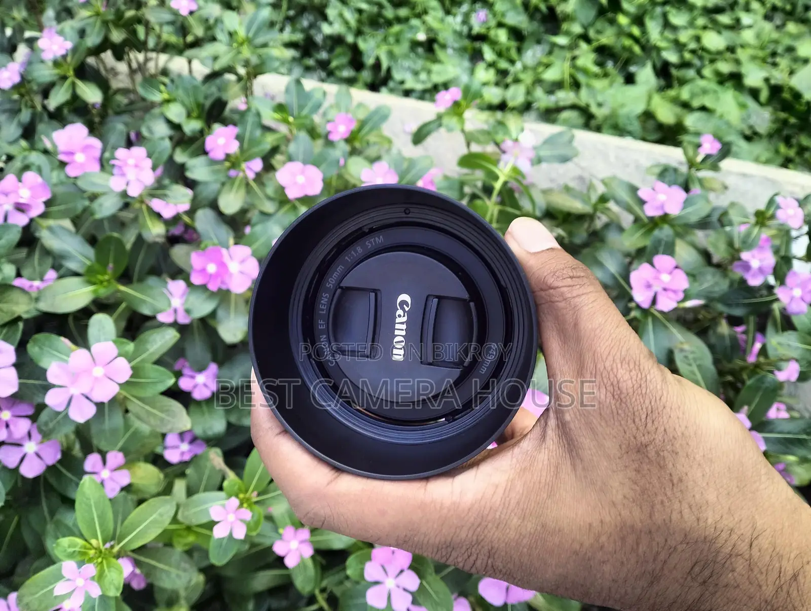 50mm STM prime lans full fresh like new