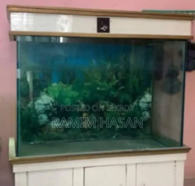 অ্যাকোয়ারিয়াম