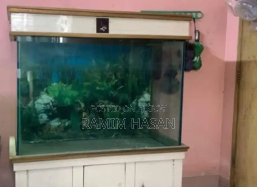 অ্যাকোয়ারিয়াম