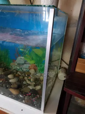 একুরিয়াম বিক্রি হবে