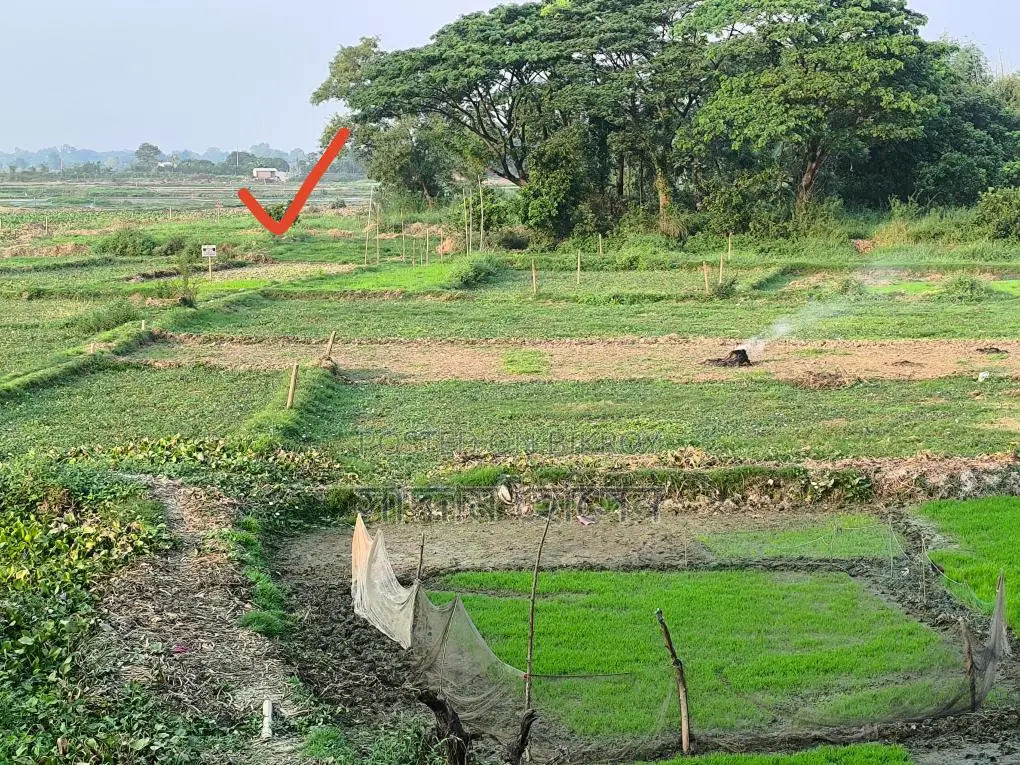 Land for Sale at an Attractive Price