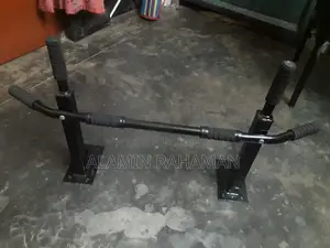 Pull up Bar (Wall Mounted)