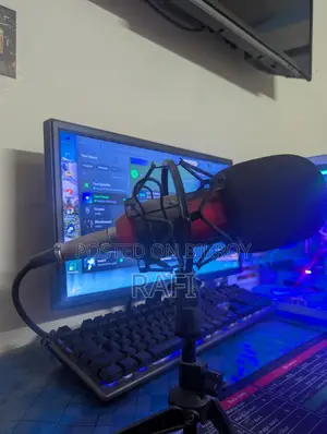 Microphone