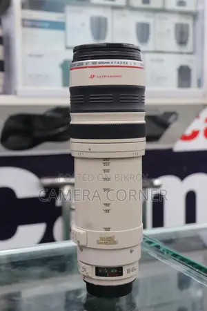 Canon 100-400mm Lens