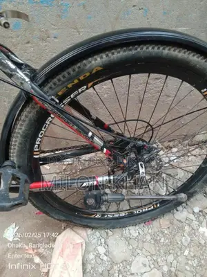 Duranta Bicycle for sale