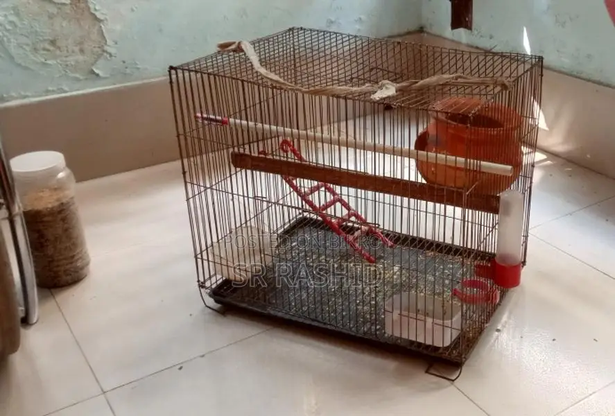 পাখির খাঁচা সেট
