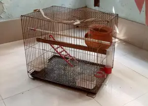 পাখির খাঁচা সেট