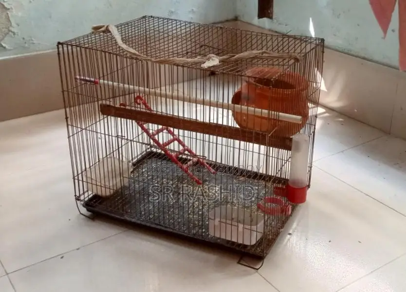 পাখির খাঁচা সেট