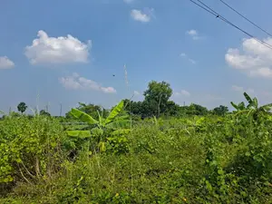 East-Facing, Near Play-lot: 5 Katha Plot in Sector 23