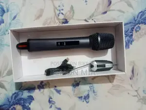 Shengfu Professional Microphone