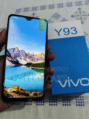 Vivo Y93 6/128 (ফুল বক্স) (Used)