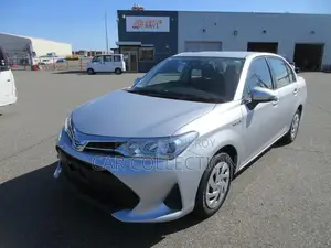 Toyota Axio EX 2020