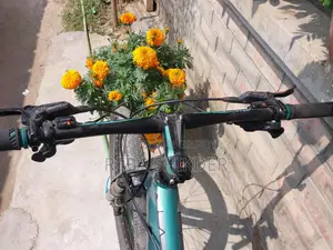 Core Neo 600 Bicycle