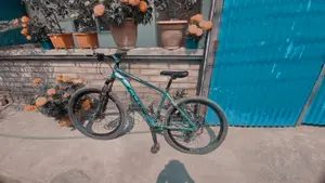 Core Neo 600 Bicycle